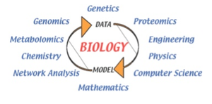 Systems biology data-model cycle