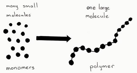 Diagram showing many small molecules (monomers) forming one large molecule (polymer)