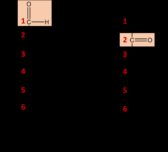 Comparison of aldose and ketose sugars