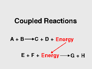 Coupled reactions
