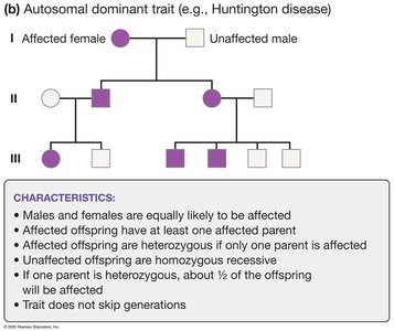 Autosomal dominant pedigree (Huntington's disease)