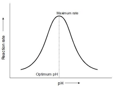 Graph of reaction rate vs. pH