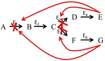 Diagram of concerted feedback inhibition in a branched pathway