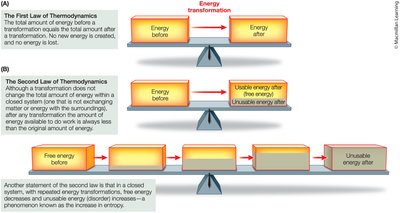 Illustration of the first and second laws of thermodynamics