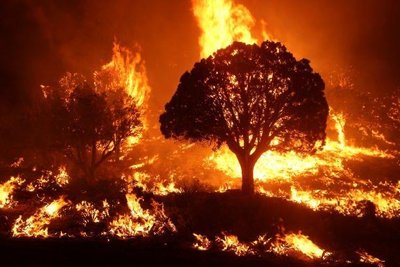 Wildfire as a disturbance shaping landscapes
