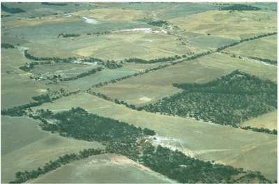 Aerial view of fragmented landscape with matrix and patches