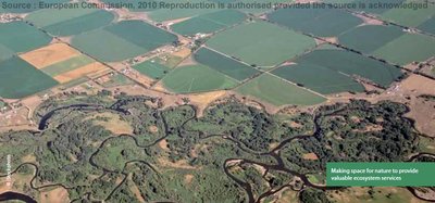 Aerial view of fragmented forest landscape