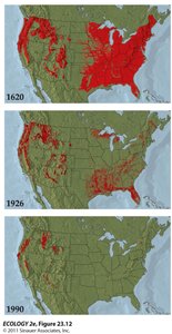 Historical maps showing reduction of forest cover over time
