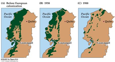 Map showing progressive fragmentation of habitat over time