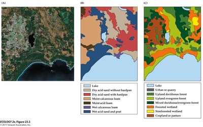 Satellite image and habitat maps showing landscape heterogeneity