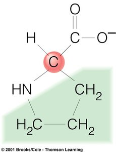 Structure of methionine amino acid