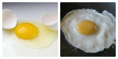 Egg before and after cooking, illustrating protein denaturation