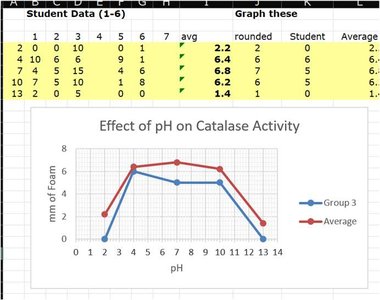Graph of enzyme activity versus temperature