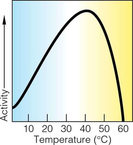 Graph showing enzyme activity at different pH values