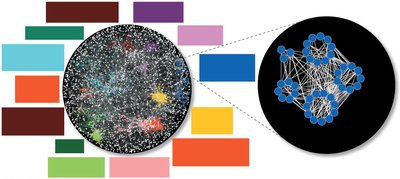 Systems biology network diagram