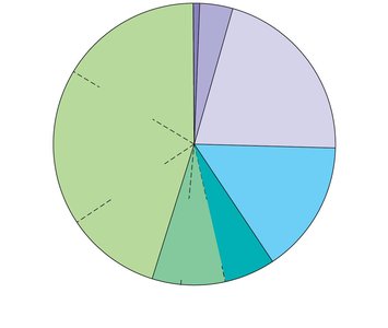 Pie chart of human genome composition