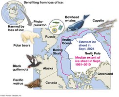 Effects of climate change on the Arctic
