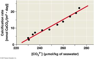 Calcification rate vs. carbonate ion concentration