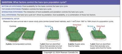 Hare and lynx population cycles