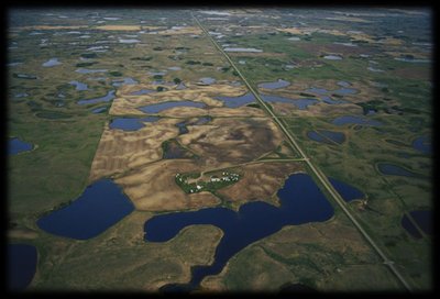Another example of habitat fragmentation