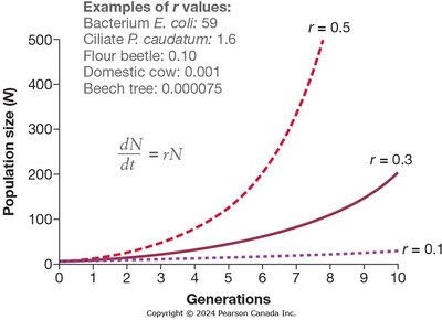 Exponential growth curves for different r values
