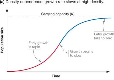 Logistic growth curve showing carrying capacity