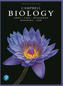 Paramecium, a single-celled organism