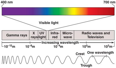Electromagnetic spectrum and visible light