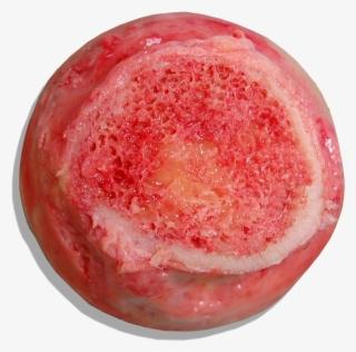 Bone marrow producing blood cells