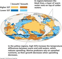 Map showing effects of SST on marine productivity