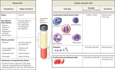 Table of blood components and their functions
