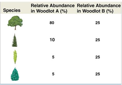 Relative abundance table