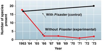 Graph showing effect of Pisaster removal on species diversity