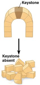 Arch collapse with removal of keystone
