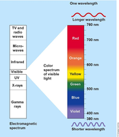Electromagnetic spectrum and visible light range