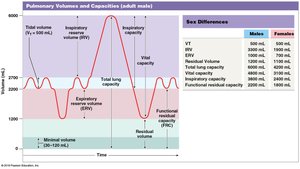 Pulmonary volumes and capacities graph