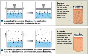 Henry's Law: Gas solubility and pressure
