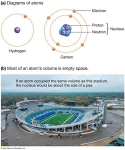 Diagrams of atoms and stadium analogy for atomic structure