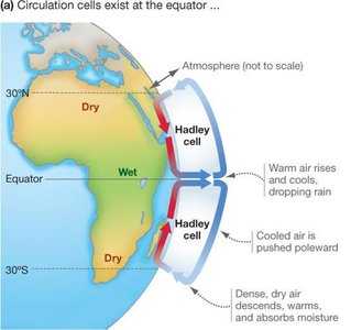 Diagram of Hadley cells and global air circulation