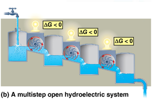 Multistep open hydroelectric system analogy for metabolic pathways