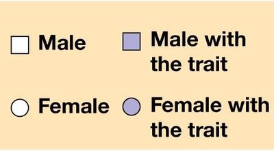 Pedigree for dominant trait