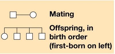 Pedigree for recessive trait