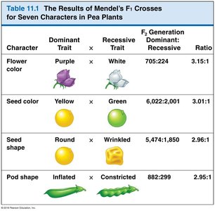 Table of Mendel's F1 crosses for additional characters