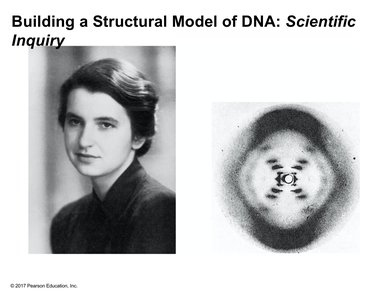 Rosalind Franklin and X-ray diffraction image of DNA