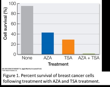 Cell survival after AZA and TSA treatment