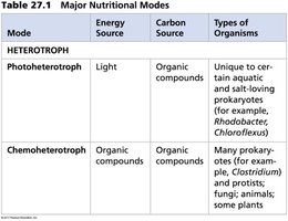 Table of major nutritional modes: heterotrophs
