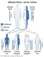 Pedigree of X-linked inheritance