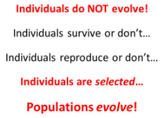 Individuals do NOT evolve! Populations evolve!