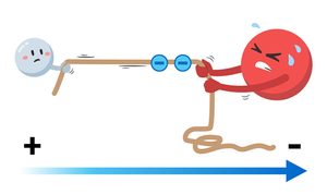 Electronegativity tug-of-war analogy