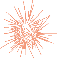 A radiating, spiky protist (possibly a radiolarian)